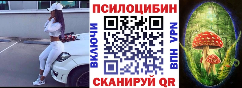 как найти наркотики  Изобильный  Галлюциногенные грибы GOLDEN TEACHER 